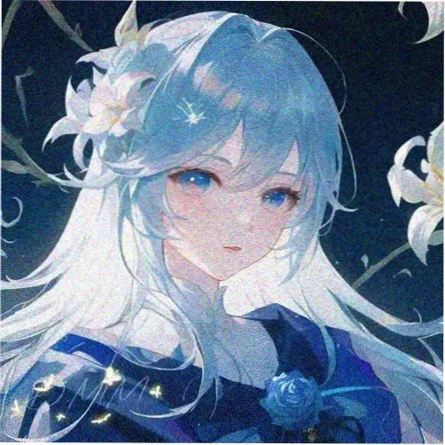 海狗头像